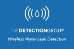 The Detection Group