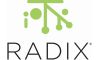 Radix IoT sponsor logo