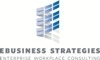 EBUSINESS STRATEGIES, LLC